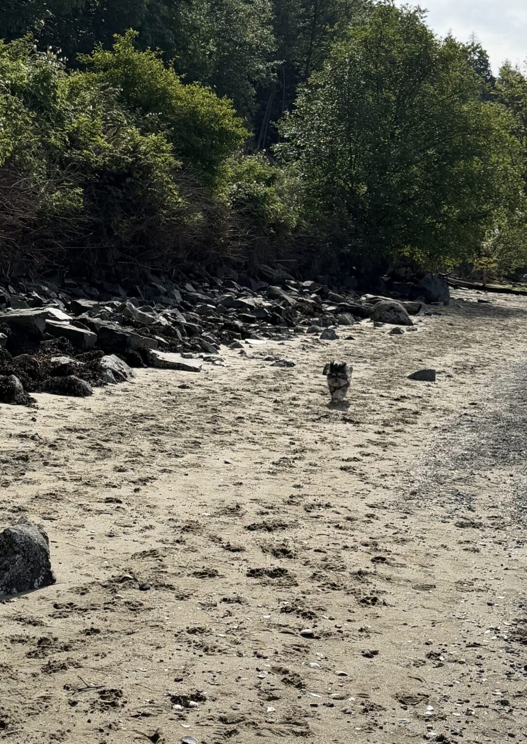 Beach Please